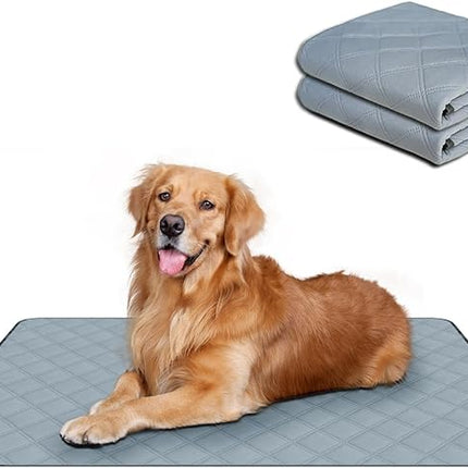 RIOUSSI Washable Pee Pads for Dogs, Reusable, Absorbent, Leakproof, Non Slip Pet Puppy Pads for Potty Training. Light Gray, 24x36 Inch(2pack)