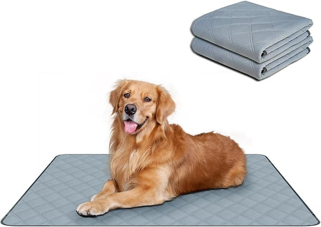 RIOUSSI Washable Pee Pads for Dogs, Reusable, Absorbent, Leakproof, Non Slip Pet Puppy Pads for Potty Training. Light Gray, 24x36 Inch(2pack)