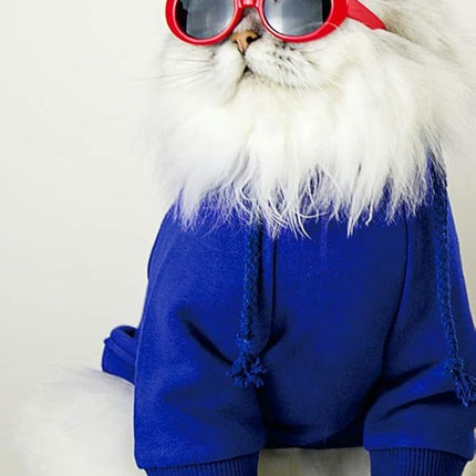 Pibupibu Retro Oval Small Dogs Cats Eye Wear Party Favors Pet Sunglasses Set Cute Funny Cosplay Dolls Costume Photo Props