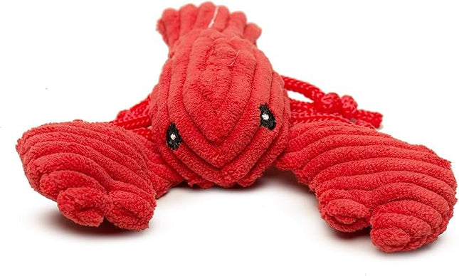 HuggleHounds Wee Huggles Plush Dog Toys - Dog Stuffed Animal Toys, Squeaky Puppy Plush for Small and Medium Sized Dogs, Durable and Interactive to Keep Them Busy - Raw Bar Wee Huggles (3 Count)