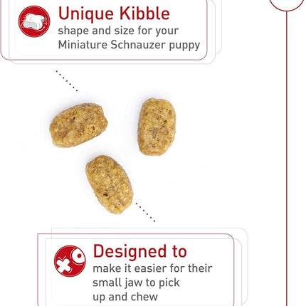 Royal Canin Breed Health Nutrition Miniature Schnauzer Puppy Dry Dog Food, 2.5 lb Bag