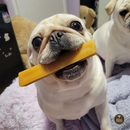 Bully Bunches Small Authentic Yak Cheese Himalayan Chews for Small Dogs & Puppies - All Natural Dog Treat Dental Chews, Made with Real Yak Milk for Teething - Lactose & Rawhide Free (6 Pk)