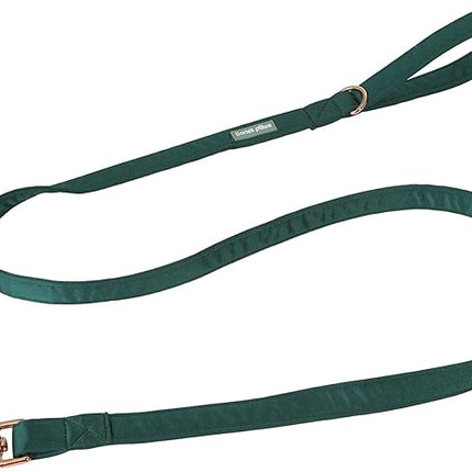 Lionet Paws Dog Leash - Silk Green Leash for Small Medium Large Dogs Matching Collar for Girl and Boy