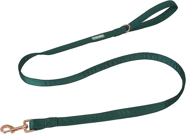 Lionet Paws Dog Leash - Silk Green Leash for Small Medium Large Dogs Matching Collar for Girl and Boy