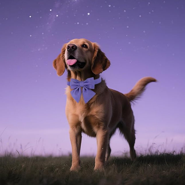Maca Bates Purple Dog Collar with Cute Petunia Solid Sailor Bow Tie,Extra Small Girl Boy Dogs,Girly Adjustbale Durable Breakaway Soft Collars with Bowtie for Female Male Puppy,Pet with Metal Buckle
