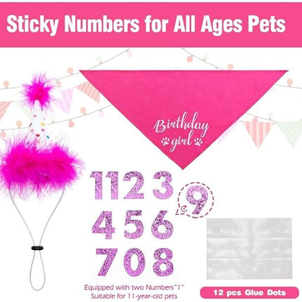 BINGPET Dog Birthday Bandana Scarf and Reusable Hat with 0-8 Figures,Cute Puppy Dog Birthday Outfit Party Supplies Gift for Small Medium Large Dogs Girl