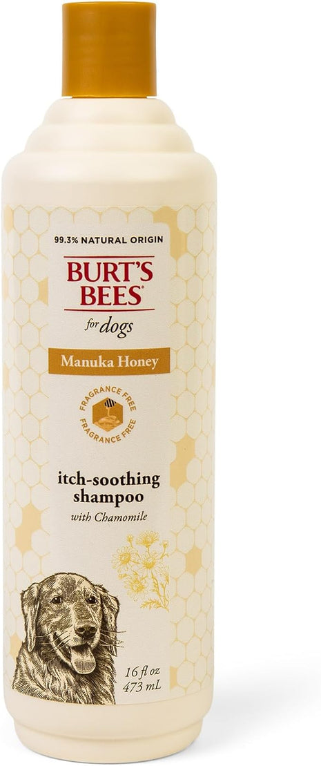 Burt’s Bees for Pets Itch Shampoo with Manuka Honey and Chamomile for Dogs, Itch Relief for Dogs - Naturally Derived Ingredients, 16 Fl Oz