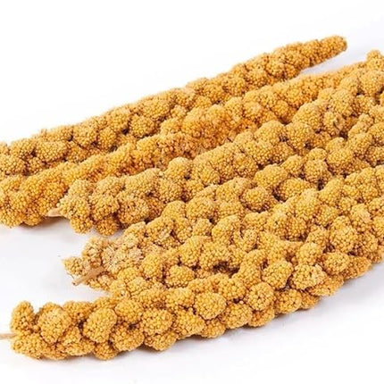 5LBS GMO-Free Sun Dried Spray Millet - Original Bird Treat Millet for Parakeets, Cockatiels, Finches & More - Non-GMO, High in Amino Acids, Easy Storage, Tasty & Healthy Bird Snacks (5 lbs)