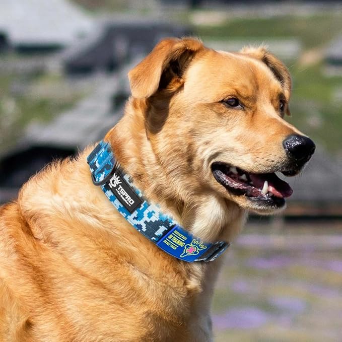 TSPRO Premium Dog Collars Tactical Dog Collar with Patch and Heavy Duty Quick-Release Metal Buckle Durable Thick and Adjustable for Medium to Large Dogs (Camo Blue L)