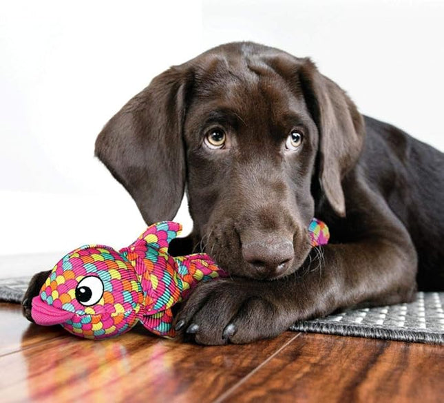 KONG Wubba Finz - Dog Toy for Tug of War & Fetch - Dog Supplies for Puppy & Dog Playtime - Outdoor & Indoor Dog Toy (Blue, Small)