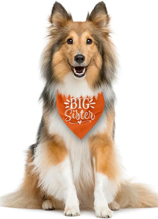 Big Sister Dog Bandana, Big Sister Bandana for Dog, Dog Pregnancy Announcement, Orange Dog Bandana, Big Sister Dog Shirt, Dog Bandana Pet Scarf, Dog Bandana for Small Medium Large Dogs (D28)