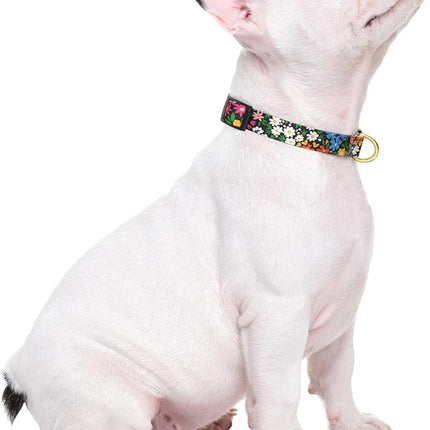 Rnivvi Dog Collar for Small Dogs, Cute Floral Heavy Duty Adjustable Puppy Collar with Quick Release Buckle for Girl & Female, Pet Accessories for Walking Running, XS Length 5/8" Width, Vibrant