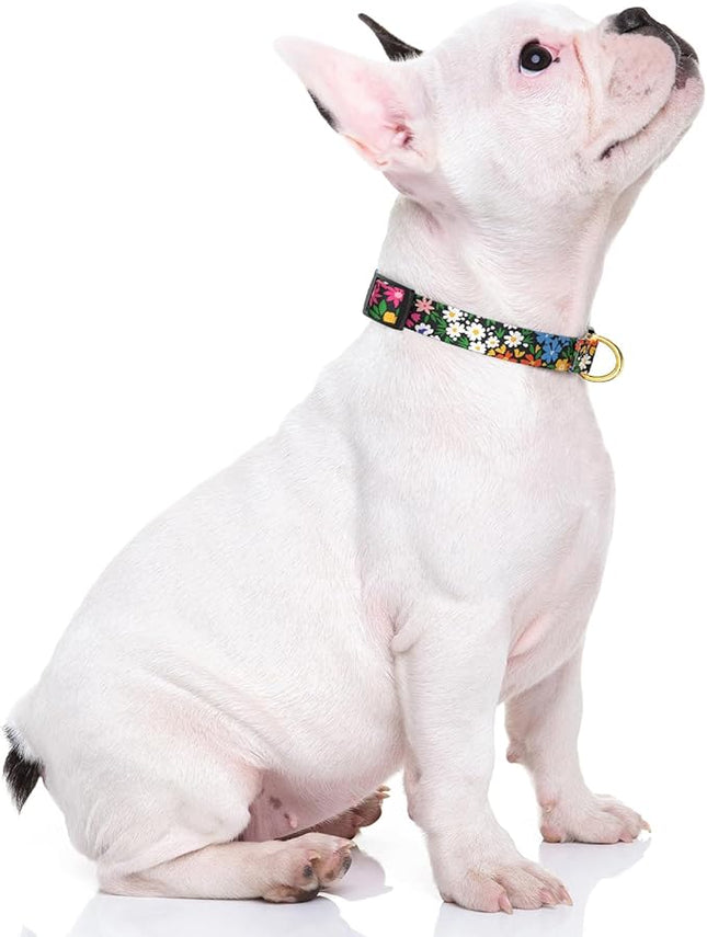 Rnivvi Dog Collar for Small Dogs, Cute Floral Heavy Duty Adjustable Puppy Collar with Quick Release Buckle for Girl & Female, Pet Accessories for Walking Running, S Length 3/4" Width, Vibrant