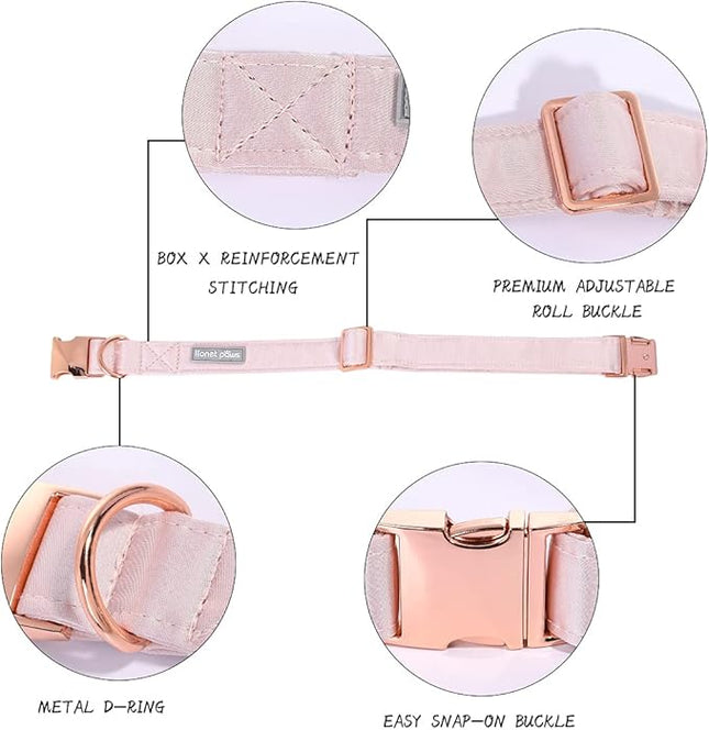 Lionet Paws Bowtie Dog Collar - Comfortable Silk Dog Collar with Detachable Bow Tie for Medium Dogs, Neck 13.5-22 Inches