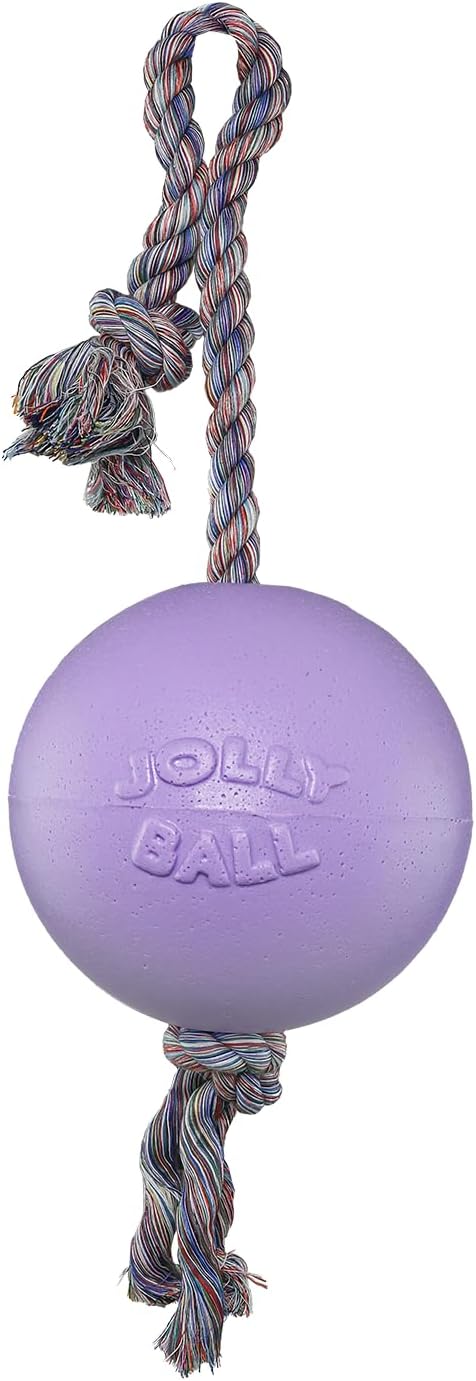 Jolly Pets Romp-n-Roll Rope and Ball Dog Toy, 8 Inches/Large, Light Purple