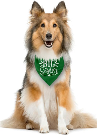 Big Sister Dog Bandana, Green, Triangle, 25 x 17 Inches, Flannel, Comfortable, Water Resistant, Geometric Pattern, Baby Shower, Unisex, Medium Dog Size, V-Neck, Machine Washable