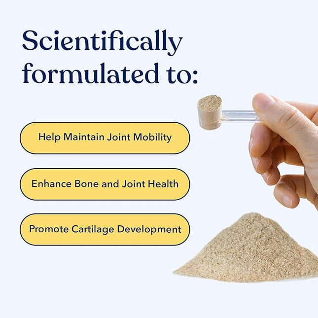 Honest Paws Joint Supplement for Dogs - Supports Mobility, Hip & Joint Health, Eases Stiffness - Glucosamine, Green Lipped Mussel, Fish Oil, Chondroitin Sulfate, MSM, Vitamin C