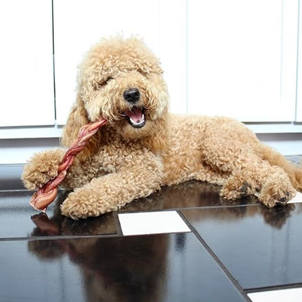 Redbarn Pet Products All Natural 8"-12" Braided Bully Sticks for Medium & Large Dogs - Healthy Long Lasting Beef Chews Variety Party Pack - Single Ingredient Low Odor Rawhide Free - 1 lb Bag