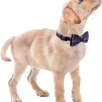 Faleela Soft &Comfy Bowtie Dog Collar,Detachable and Adjustable Bow Tie Collar,for Small Medium Large Pet (Purple, Small (Pack of 1))