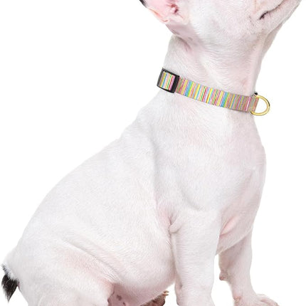 Rnivvi Dog Collar for Small Dogs, Cute Heavy Duty Adjustable Puppy Collar with Quick Release Buckle for Boy Girl & Female, Pet Accessories for Walking Running, XS Length 5/8" Width, Watercolor Art