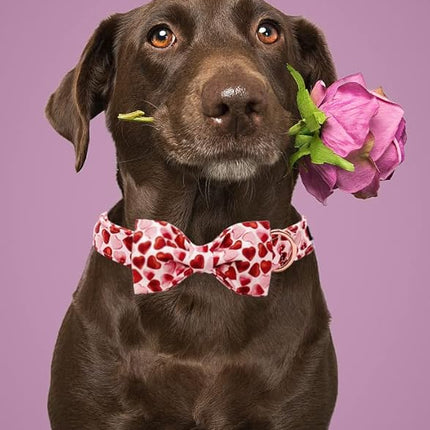 Maca Bates Valentine's Day Dog Collar with Fancy Bow for Small Girl Boy Dogs,Red Love Hearts Pattern,Adjustable Durable Soft Valentine Gift for Female Male Puppy
