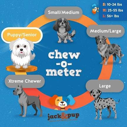 Jack&Pup 12 Inch Junior Bully Stick Dog Chew - Single Ingredient, All Natural Puppy Treat Chews - Great for Teething Puppies (5 Pack)