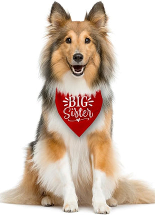 Big Sister Dog Bandana, Pet Dogs Pregnancy Announcement, Red Dog Bandana, Pet Bandanas for Small Medium Large Dogs (M)