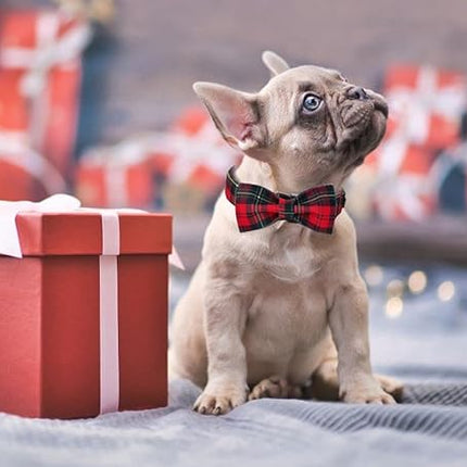 Lionet Paws Christmas Dog Collar with Bowtie, Dog Bowtie Collar with Metal Buckle for Dogs, Adjustable Comfortable Dog Collar Girl Boy Gift, XS, Neck 8-12 in
