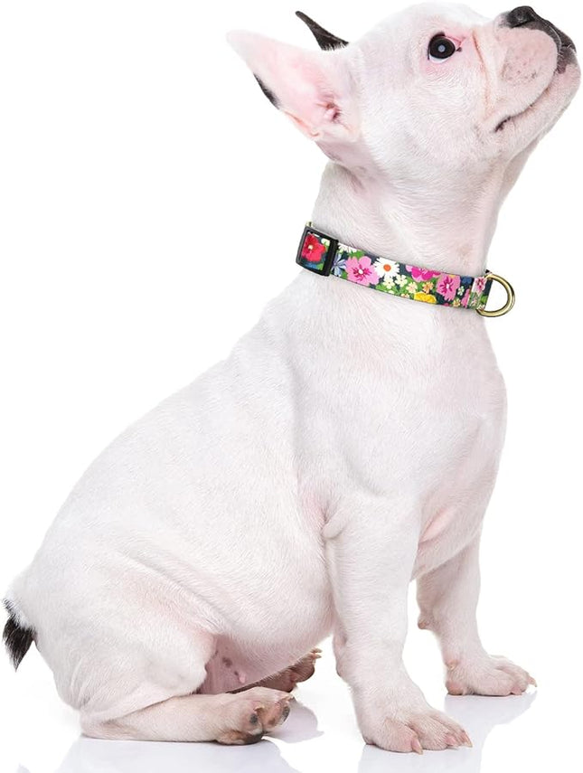 Rnivvi Dog Collar for Small Dogs, Cute Floral Heavy Duty Adjustable Puppy Collar with Quick Release Buckle for Boy Girl & Female, Pet Accessories for Walking Running, S Length 3/4" Width, Elegant
