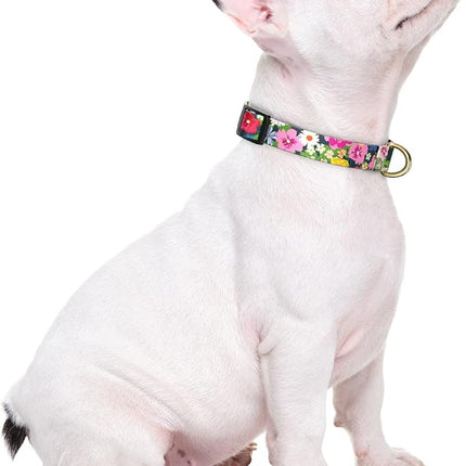 Rnivvi Dog Collar for Small Dogs, Cute Floral Heavy Duty Adjustable Puppy Collar with Quick Release Buckle for Boy Girl & Female, Pet Accessories for Walking Running, XS Length 5/8" Width, Elegant