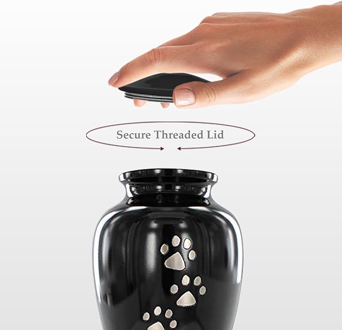 Trupoint Memorials Small Pet Urn for Dogs and Cats Ashes, Paws Print Black Cremation Urns for Pets up to 17 lbs