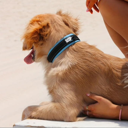 Black Rhino Extra Large Dog Collar - Adjustable Reflective Heavy Duty Dog Collars with Ultra-Soft Neoprene Padding - Weatherproof, Durable, and Comfortable - Ideal for Active Dogs - Aqua and Gray