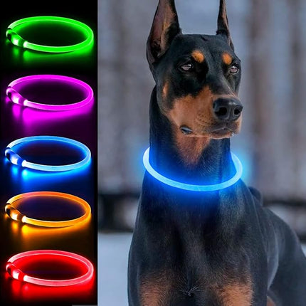 Light Up Dog Collar, Dlitk Rechargeable Cuttable LED Dog Collars, Pet Safety Light at Night Walking for Small Medium Large Dogs, Do Not Use Fast Charging (Blue)