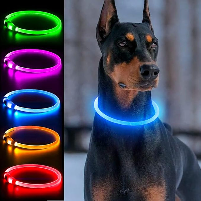 Light Up Dog Collar, Dlitk Rechargeable Cuttable LED Dog Collars, Pet Safety Light at Night Walking for Small Medium Large Dogs, Do Not Use Fast Charging (Blue)