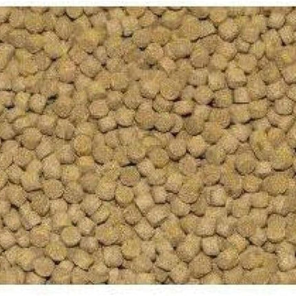 Northfin Cichlid Formula Fish Food – Slow Sinking Pellets for Cichlids (1mm, 500g) | Premium High-Protein, All-Natural Cichlid Diet to Enhance Color & Growth – No Fillers, No Hormones, Made in Canada