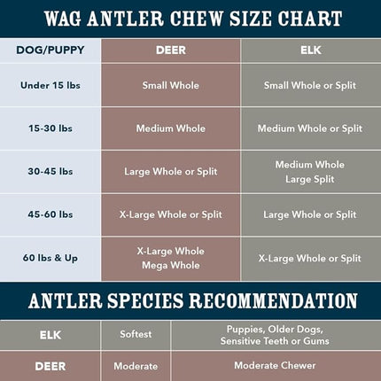 Amazon Brand - Wag Dog Deer Antler Chew, Naturally Shed, Whole, Large 8-9.5 inches, Long Lasting for Aggressive Chewers, Best for Dogs 30-45 lbs, 3.20 Ounce (Pack of 1)