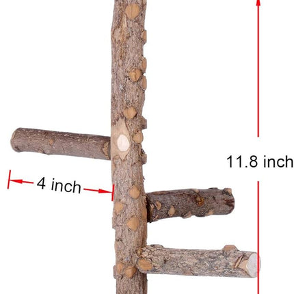 Bird Perch Nature Wood Stand for 3-4pcs Small Medium Parrots (S)