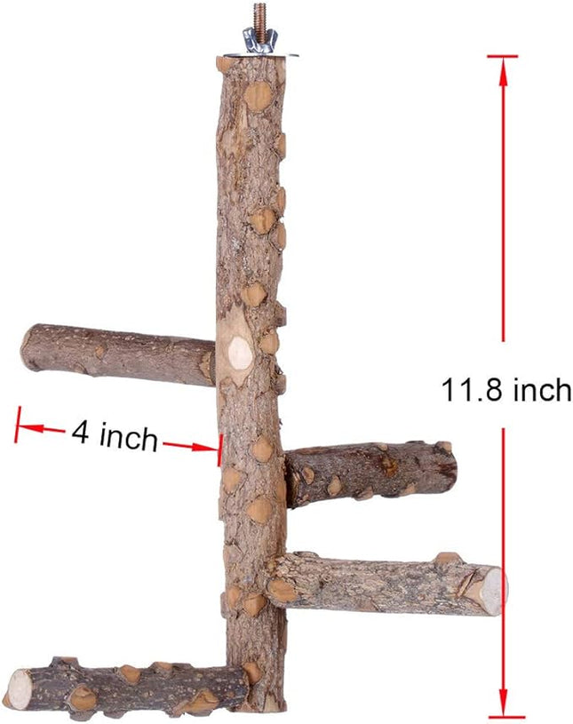 Bird Perch Nature Wood Stand for 3-4pcs Small Medium Parrots (S)
