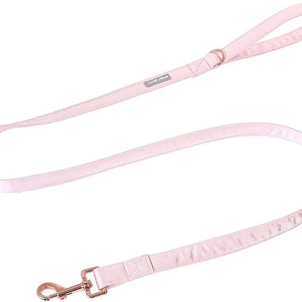 Lionet Paws Dog Leash - Silk Pink Leash for Small Medium Large Dogs Matching Collar for Girl and Boy
