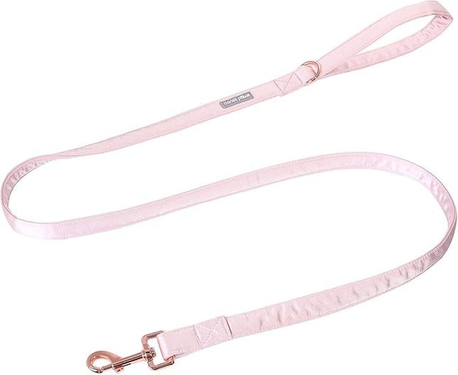 Lionet Paws Dog Leash - Silk Pink Leash for Small Medium Large Dogs Matching Collar for Girl and Boy