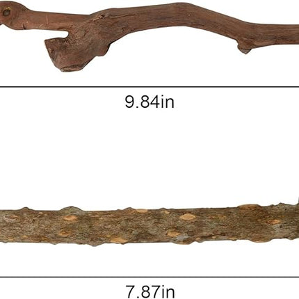 5PCS Bird Perch Stand Natural Wooden Parrot Stand Branch,3 Grape Wood Perch,2 Stand,Paw Grinding Fork Parakeet Chewing Stick Exercise Training Branches for Cockatiels,Small Medium Birds