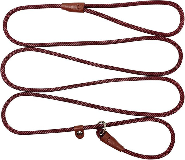 BTINESFUL 7FT Slip Lead Dog Leash, Strong Nylon Rope Leash, 1/4" No Pull Dog Training Lead for Small Medium Dogs