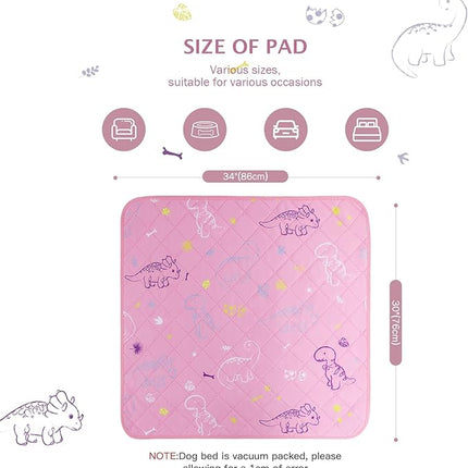 IEUUMLER Washable Pee Pads for Dogs, 2 Pack Non-Slip & Waterproof Whelping Pad, Reusable Puppy Potty Training With Fast Absorbent for Playpen EU007 (Pink Dinosaur, 30"X34"-2pcs)