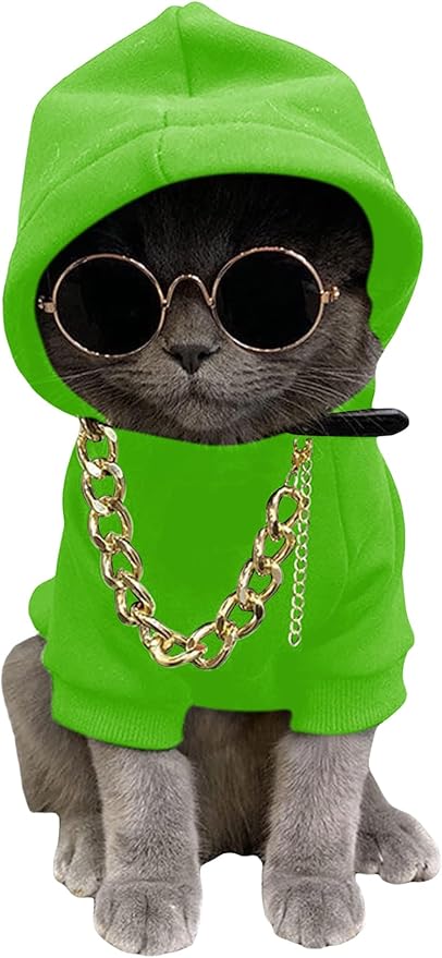 QWINEE 3Pcs Dog Hoodie Cat Apparel Dog Custume Set with Necklace and Sunglasses Pet Clothes for Puppy Small Medium Dogs Cats Green XX-Small