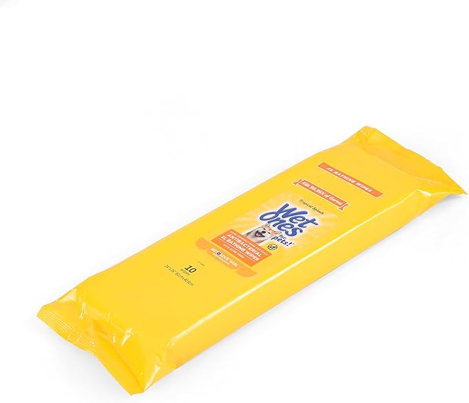 Wet Ones for Pets Multipurpose Dog Wipes with Aloe Vera, Tropical Splash Scent - Extra Large Pet Bathing Wipes with Wet Lock Seal for Dog Paws & All Over Use, 10 Count
