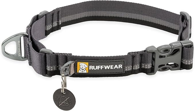 Ruffwear, Web Reaction Dog Collar, Escape-Proof Security Buckle, Adjustable Anti-Slip Martingale Collar with Durable Nylon Tubelok Webbing & Silent ID Attachment, Basalt Gray, 17"-20"