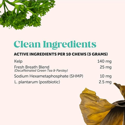 Fresh Breath Dental Bites for Cats – Crunchy & Creamy Cat Dental Treats for Fresh Breath, Tartar & Plaque Control – Dual-Texture Cat Oral Care Bites for Bright Teeth & Healthy Gums – 30 Day Supply