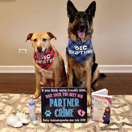 Big Brother Dog Bandana,Buffalo Plaid Pet Pregnancy Announcement Scarf