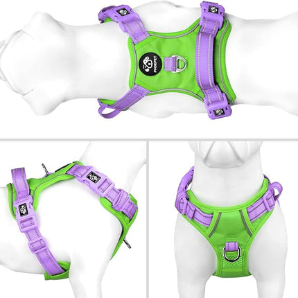 PHOEPET No Pull Dog Harness, Unique Colors Reflective Adjustable Dog Vest, with Soft Training Handle Metal Clips for Small Medium Large Dogs (Green Base & Purple Straps,S)