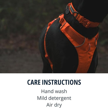 Ruffwear, Front Range Dog Collar, Adjustable Tubelok Webbing, Lightweight, Side Release Buckle, Aluminum V-Ring, Durable for Everyday Use, Blaze Orange, 11"-14"